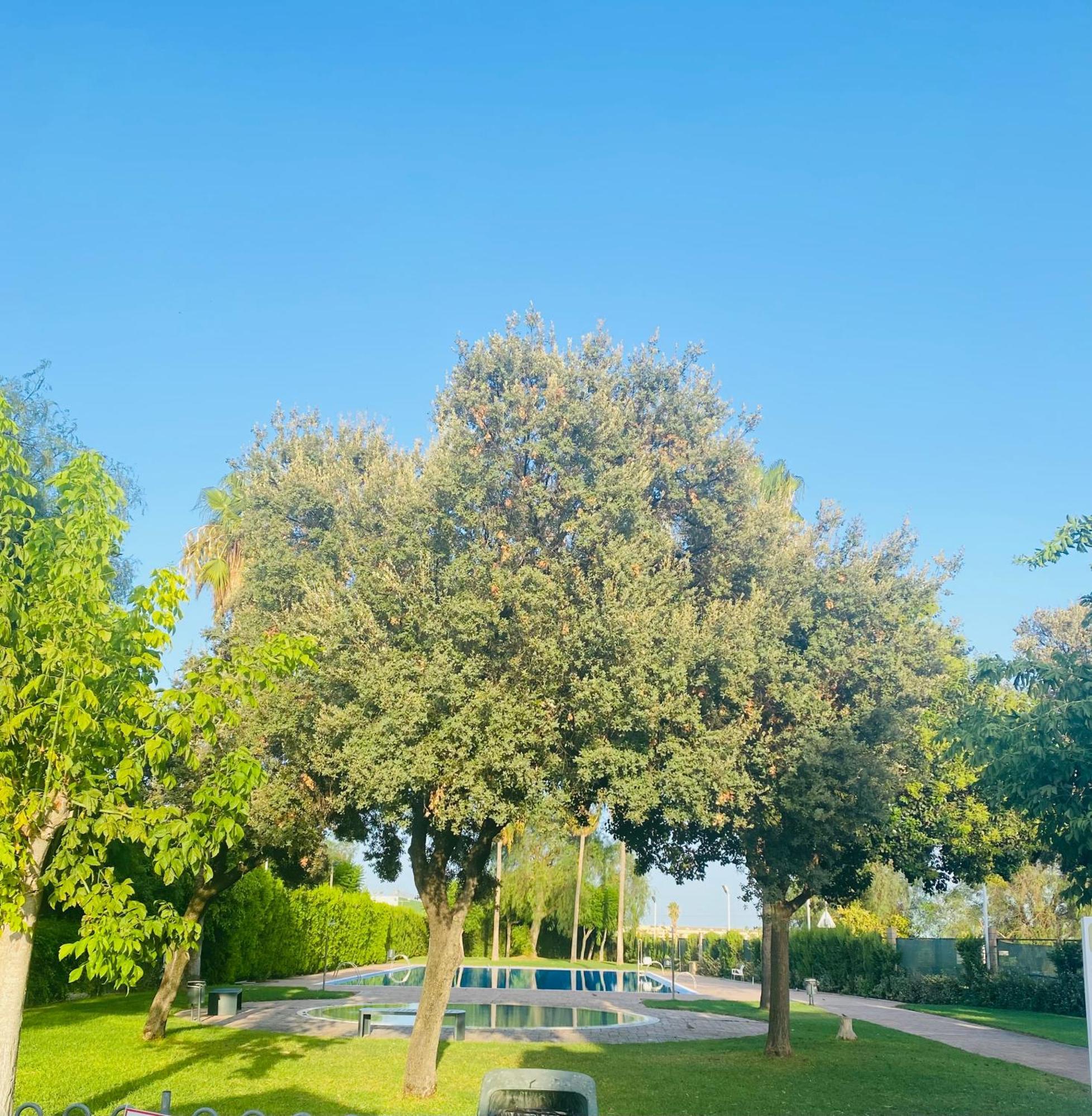 Palomar - Palomargroup *